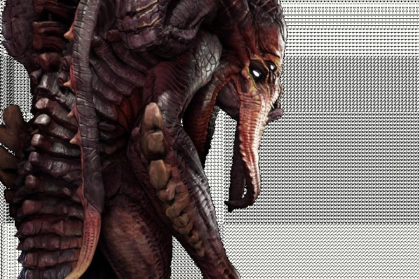 Kraken forum