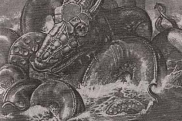 Kraken19 at